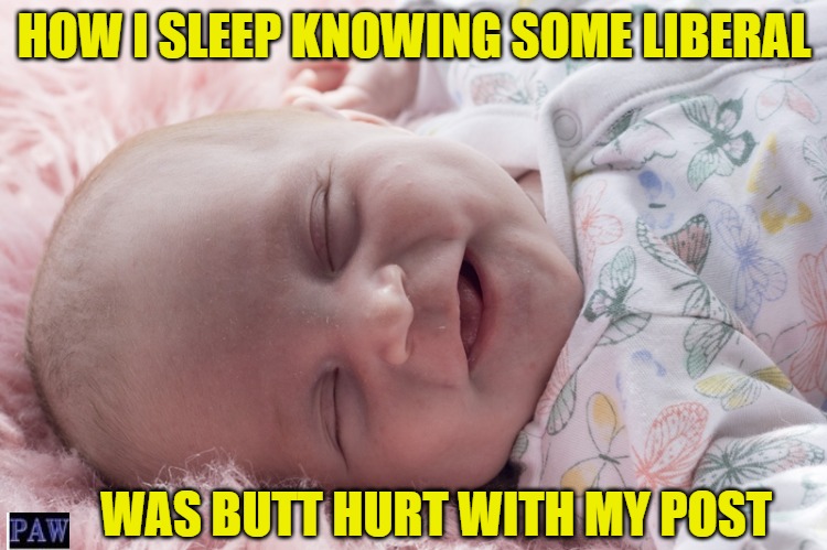 Sleeping | HOW I SLEEP KNOWING SOME LIBERAL; WAS BUTT HURT WITH MY POST | image tagged in liberal,funny,sleep | made w/ Imgflip meme maker