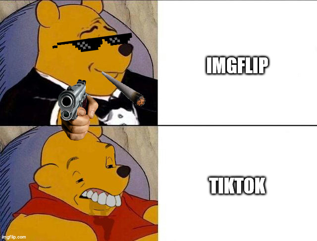 TIKTOK SUCKS | IMGFLIP; TIKTOK | image tagged in tuxedo winnie the pooh grossed reverse | made w/ Imgflip meme maker