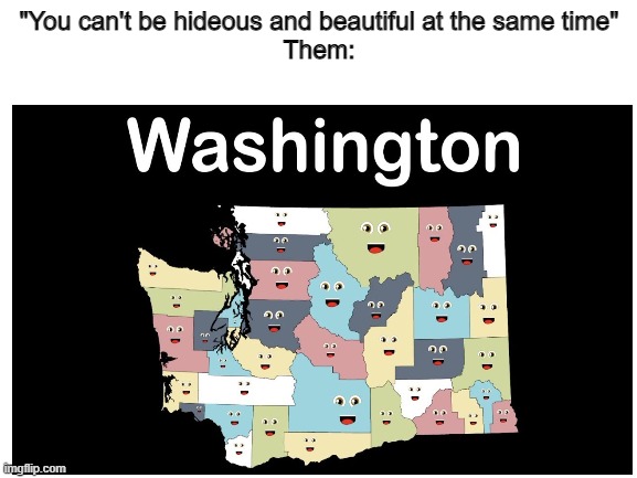 not where i live | "You can't be hideous and beautiful at the same time"
Them: | image tagged in washington | made w/ Imgflip meme maker