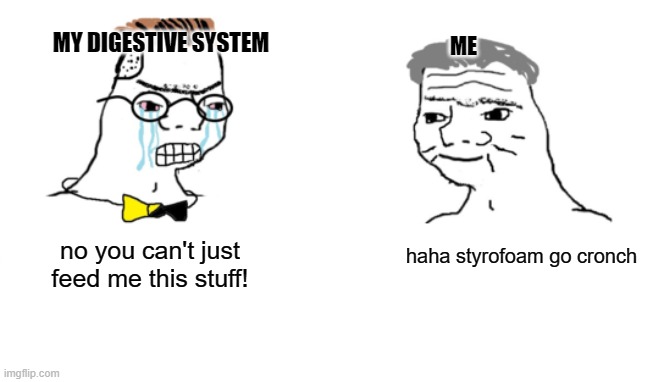 .-. | MY DIGESTIVE SYSTEM; ME; no you can't just feed me this stuff! haha styrofoam go cronch | image tagged in no you can't just | made w/ Imgflip meme maker