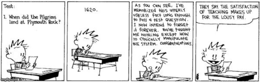 school | image tagged in comics,calvin and hobbes | made w/ Imgflip meme maker