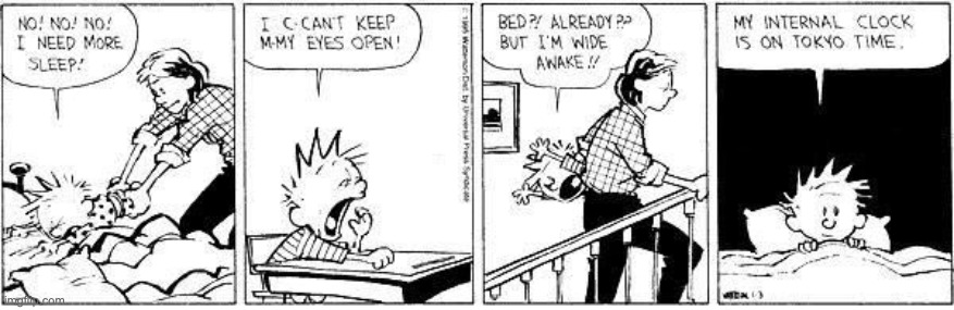 image tagged in comics,calvin and hobbes | made w/ Imgflip meme maker