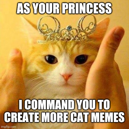 As Your Princess | AS YOUR PRINCESS; I COMMAND YOU TO CREATE MORE CAT MEMES | image tagged in cat memes,cats,princess,make more cat memes,princess cat,funny | made w/ Imgflip meme maker