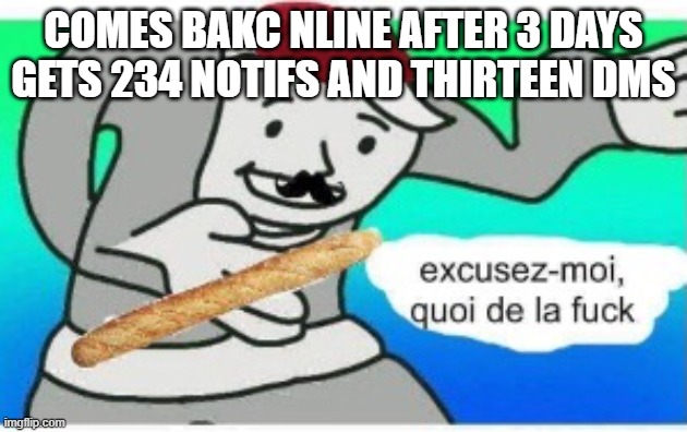 french wtf | COMES BAKC NLINE AFTER 3 DAYS GETS 234 NOTIFS AND THIRTEEN DMS | image tagged in french wtf | made w/ Imgflip meme maker