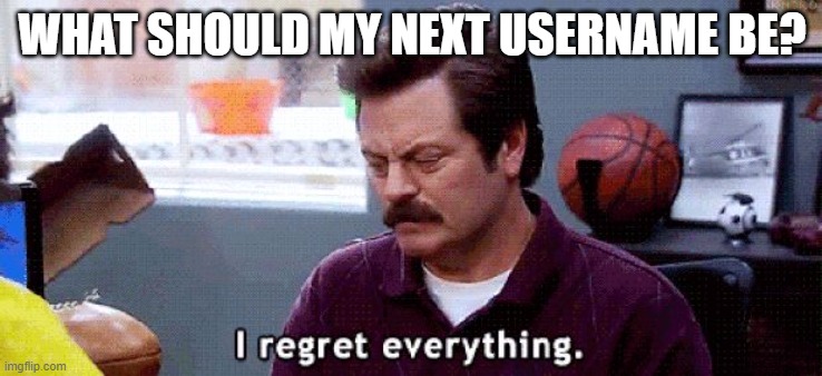 I regret | WHAT SHOULD MY NEXT USERNAME BE? | image tagged in i regret | made w/ Imgflip meme maker