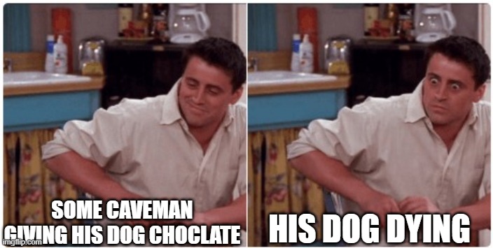 Joey from Friends | SOME CAVEMAN GIVING HIS DOG CHOCLATE; HIS DOG DYING | image tagged in joey from friends | made w/ Imgflip meme maker