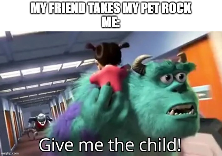 GIVE ME THE CHILD | MY FRIEND TAKES MY PET ROCK
ME: | image tagged in give me the child,rocks | made w/ Imgflip meme maker