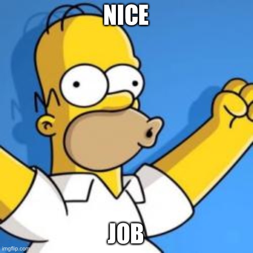 Wow good Job | NICE JOB | image tagged in wow good job | made w/ Imgflip meme maker