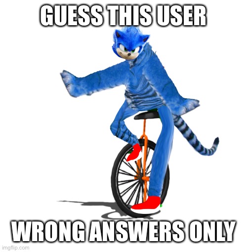 Dat boi sonictiger | GUESS THIS USER; WRONG ANSWERS ONLY | image tagged in dat boi sonictiger | made w/ Imgflip meme maker