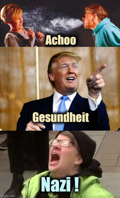 It's been months and they're still here | Achoo; Gesundheit; Nazi ! | image tagged in sneeze,donal trump birthday,screaming liberal,liberal tears,ocean,crying | made w/ Imgflip meme maker