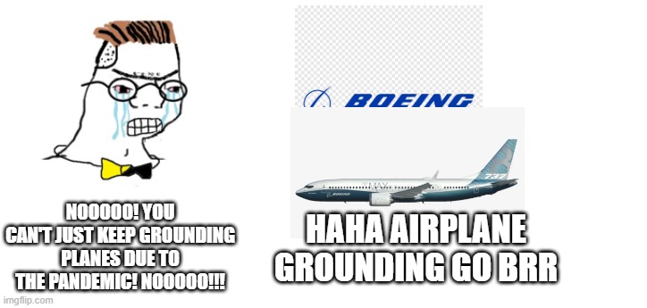 737 | NOOOOO! YOU CAN'T JUST KEEP GROUNDING PLANES DUE TO THE PANDEMIC! NOOOOO!!! HAHA AIRPLANE GROUNDING GO BRR | image tagged in nooo haha go brrr | made w/ Imgflip meme maker