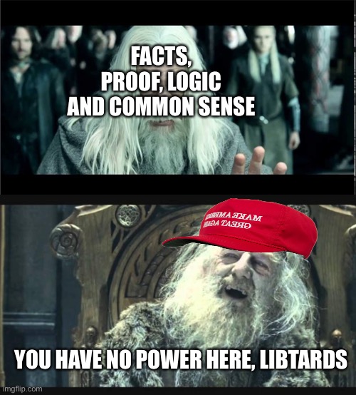 You have no power here | FACTS, PROOF, LOGIC AND COMMON SENSE YOU HAVE NO POWER HERE, LIBTARDS | image tagged in you have no power here | made w/ Imgflip meme maker