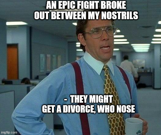 That Would Be Great | AN EPIC FIGHT BROKE OUT BETWEEN MY NOSTRILS; -  THEY MIGHT GET A DIVORCE, WHO NOSE | image tagged in memes,that would be great | made w/ Imgflip meme maker