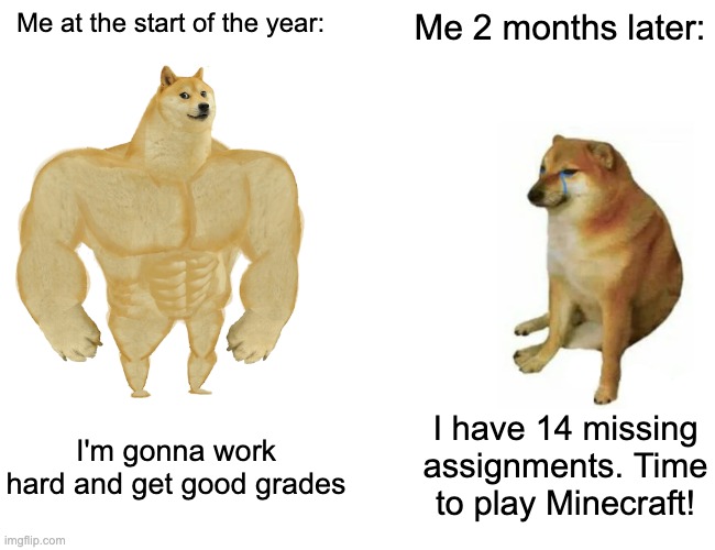 Buff Doge vs. Cheems Meme | Me at the start of the year:; Me 2 months later:; I'm gonna work hard and get good grades; I have 14 missing assignments. Time to play Minecraft! | image tagged in memes,buff doge vs cheems | made w/ Imgflip meme maker