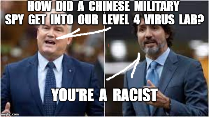 HOW  DID  A  CHINESE  MILITARY  SPY  GET  INTO  OUR  LEVEL  4  VIRUS  LAB? YOU'RE  A  RACIST | image tagged in origins of covid,erin otoole,justin trudeau,chinese virus | made w/ Imgflip meme maker
