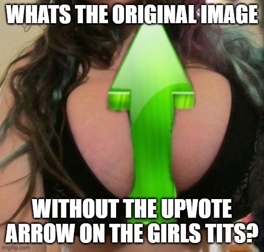 just saying | WHATS THE ORIGINAL IMAGE; WITHOUT THE UPVOTE ARROW ON THE GIRLS TITS? | image tagged in upvote boobs,boobs,tits,titties | made w/ Imgflip meme maker