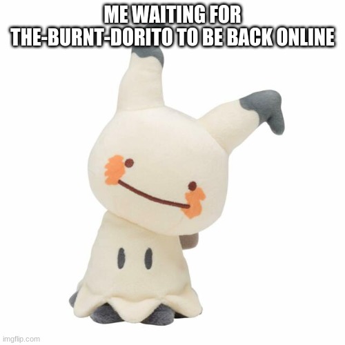 ME WAITING FOR THE-BURNT-DORITO TO BE BACK ONLINE | made w/ Imgflip meme maker