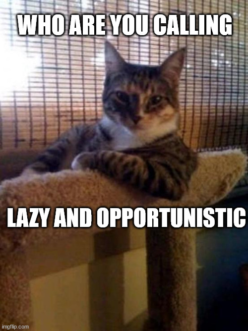 The Most Interesting Cat In The World Meme | WHO ARE YOU CALLING; LAZY AND OPPORTUNISTIC | image tagged in memes,the most interesting cat in the world | made w/ Imgflip meme maker