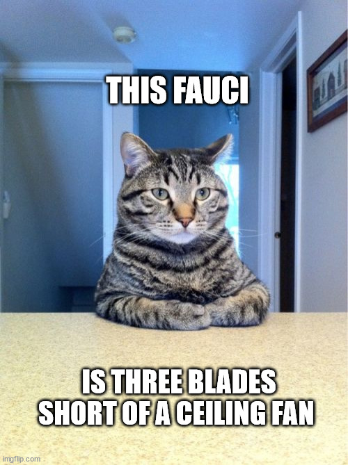 Take A Seat Cat | THIS FAUCI; IS THREE BLADES SHORT OF A CEILING FAN | image tagged in memes,take a seat cat | made w/ Imgflip meme maker