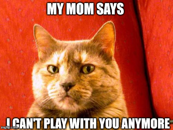 Suspicious Cat | MY MOM SAYS; I CAN'T PLAY WITH YOU ANYMORE | image tagged in memes,suspicious cat | made w/ Imgflip meme maker