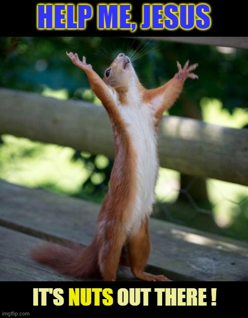 An ever-present help in squirrelly times | HELP ME, JESUS; IT'S NUTS OUT THERE ! NUTS | image tagged in finally,jesus,help,nuts,squirrel,end times | made w/ Imgflip meme maker