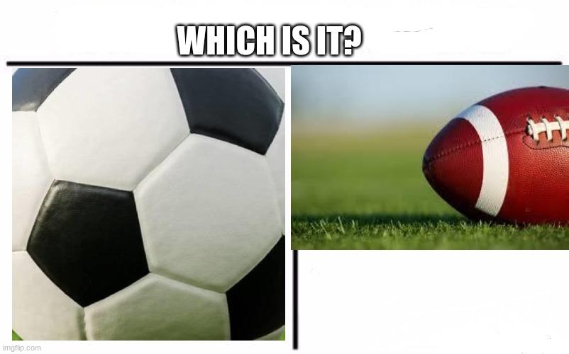 Who Would Win? Meme | WHICH IS IT? | image tagged in memes,who would win | made w/ Imgflip meme maker