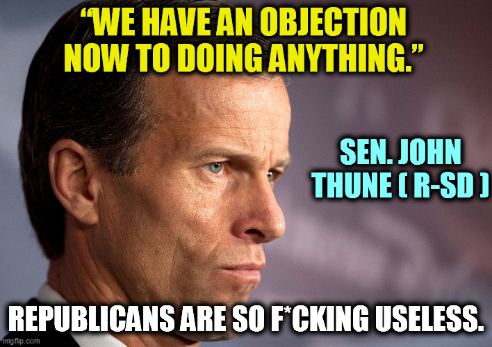 That's all they're good for - obstruction and lying. | “WE HAVE AN OBJECTION NOW TO DOING ANYTHING.”; SEN. JOHN THUNE ( R-SD ); REPUBLICANS ARE SO F*CKING USELESS. | image tagged in obstruction,senate,republicans,useless | made w/ Imgflip meme maker