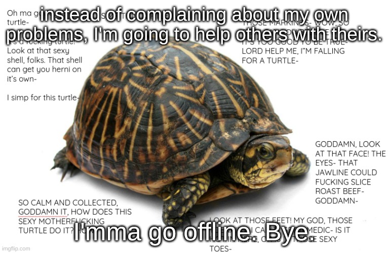 ... | instead of complaining about my own problems, I'm going to help others with theirs. I'mma go offline. Bye. | image tagged in turtle | made w/ Imgflip meme maker