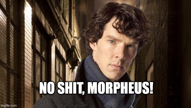 Sherlock holmes | NO SHIT, MORPHEUS! | image tagged in sherlock holmes | made w/ Imgflip meme maker