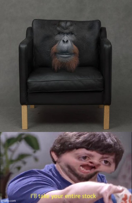 It's perfect! | image tagged in i'll take your entire stock,funny,photoshop,memes,gorilla,chair | made w/ Imgflip meme maker