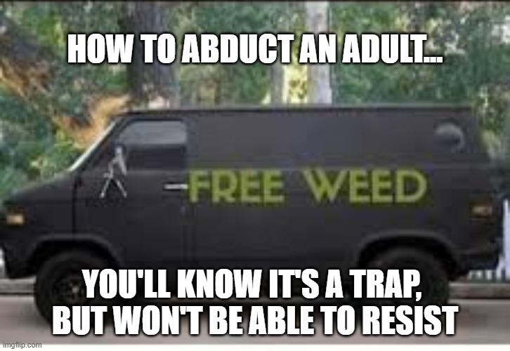 Adult-napping | HOW TO ABDUCT AN ADULT... YOU'LL KNOW IT'S A TRAP, 
BUT WON'T BE ABLE TO RESIST | image tagged in weed,van,kidnap | made w/ Imgflip meme maker