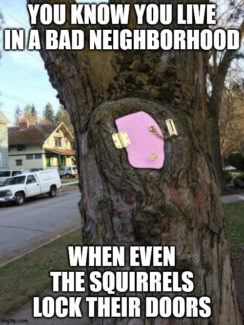 YOU KNOW YOU LIVE IN A BAD NEIGHBORHOOD; WHEN EVEN THE SQUIRRELS LOCK THEIR DOORS | made w/ Imgflip meme maker