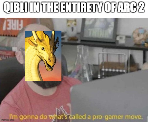 Pro Gamer move | QIBLI IN THE ENTIRETY OF ARC 2 | image tagged in pro gamer move,QibliCult | made w/ Imgflip meme maker