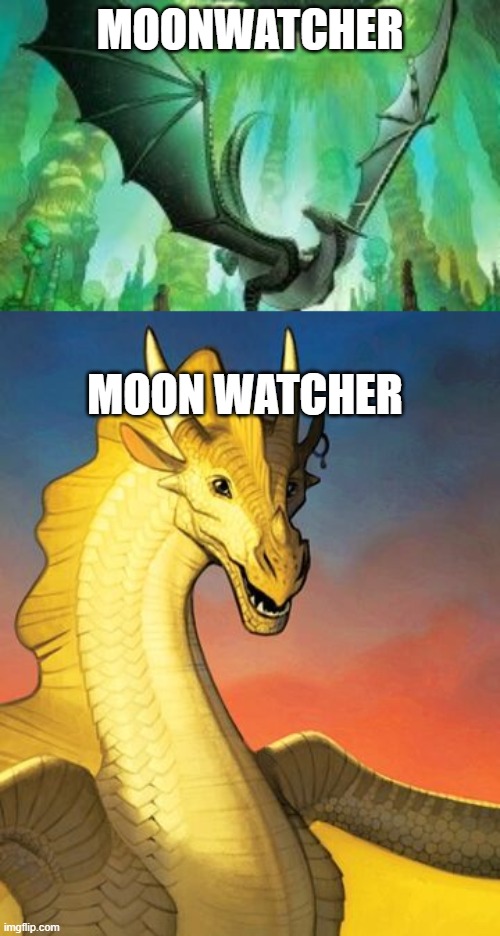 MOONWATCHER; MOON WATCHER | image tagged in QibliCult | made w/ Imgflip meme maker