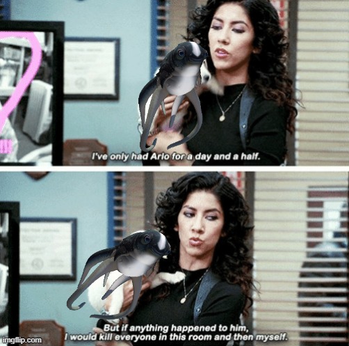 NO ONE TOUCH MY CUDDLEFISH | made w/ Imgflip meme maker