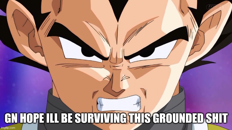 Angry Vegeta | GN HOPE ILL BE SURVIVING THIS GROUNDED SHIT | image tagged in angry vegeta | made w/ Imgflip meme maker