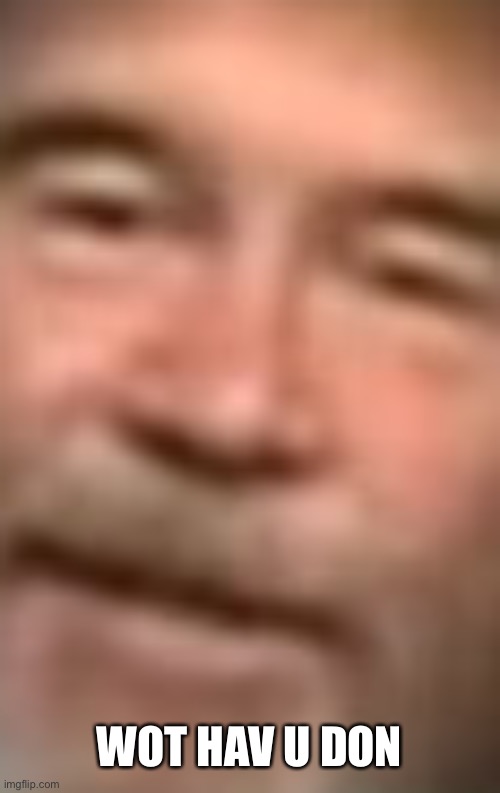 Bob ross wot face close | WOT HAV U DON | image tagged in bob ross wot face close | made w/ Imgflip meme maker