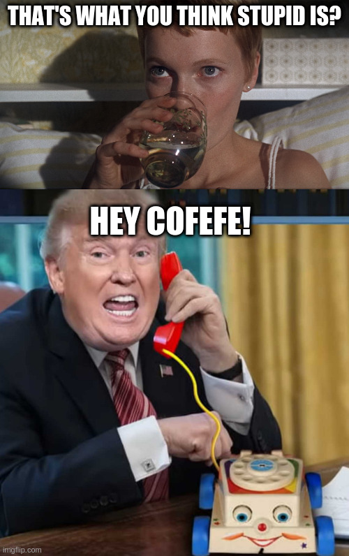  THAT'S WHAT YOU THINK STUPID IS? HEY COFEFE! | image tagged in rosemary,i'm the president | made w/ Imgflip meme maker