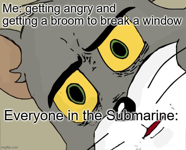Unsettled Tom Meme | Me: getting angry and getting a broom to break a window; Everyone in the Submarine: | image tagged in memes,unsettled tom | made w/ Imgflip meme maker