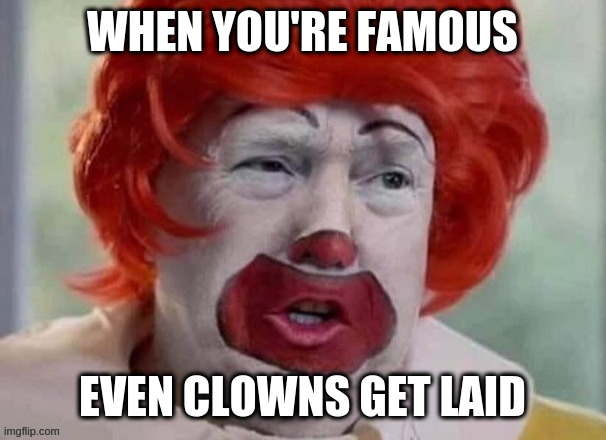 clown T | WHEN YOU'RE FAMOUS EVEN CLOWNS GET LAID | image tagged in clown t | made w/ Imgflip meme maker