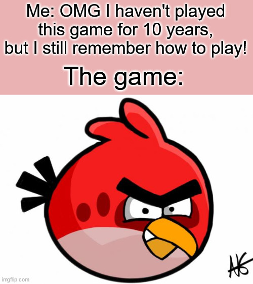 Angry Bird | Me: OMG I haven't played this game for 10 years, but I still remember how to play! The game: | image tagged in angry bird | made w/ Imgflip meme maker