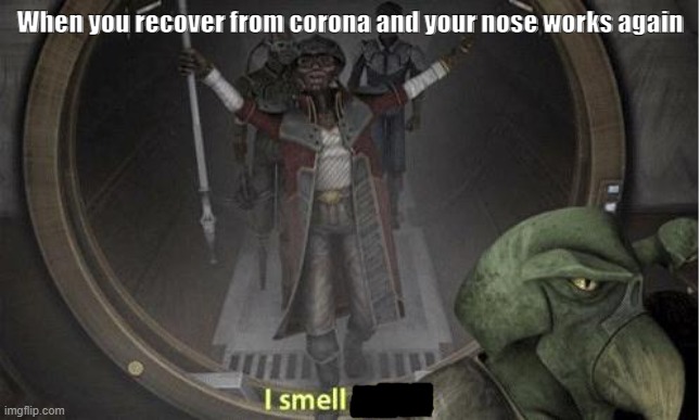 He can go back to work, so I guess he could smell profit... |  When you recover from corona and your nose works again | image tagged in hondo i smell profit,star wars,memes,funny memes,clone wars | made w/ Imgflip meme maker
