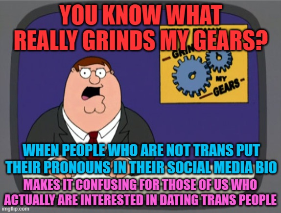 Finding trans cuties feels like panning for gold... | YOU KNOW WHAT REALLY GRINDS MY GEARS? WHEN PEOPLE WHO ARE NOT TRANS PUT THEIR PRONOUNS IN THEIR SOCIAL MEDIA BIO; MAKES IT CONFUSING FOR THOSE OF US WHO ACTUALLY ARE INTERESTED IN DATING TRANS PEOPLE | image tagged in memes,peter griffin news,transgender,dating,social media | made w/ Imgflip meme maker