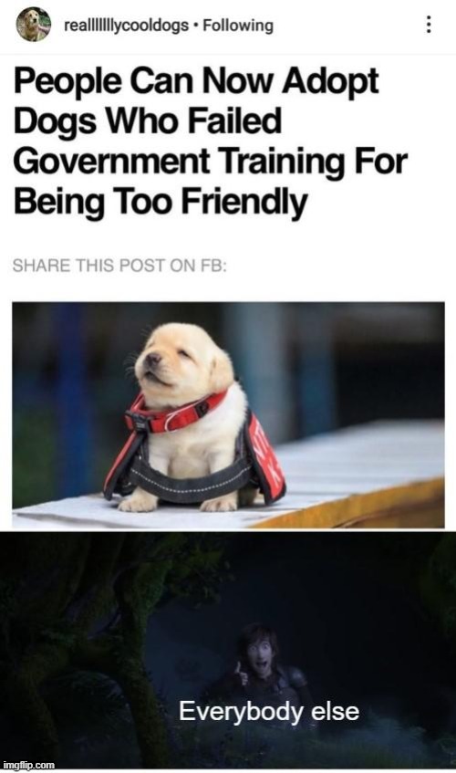 awww | image tagged in dogs | made w/ Imgflip meme maker