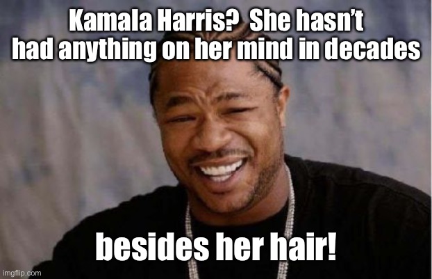 Your President of Vice | Kamala Harris?  She hasn’t had anything on her mind in decades; besides her hair! | image tagged in memes,yo dawg heard you,kamala harris,braindead,hair | made w/ Imgflip meme maker