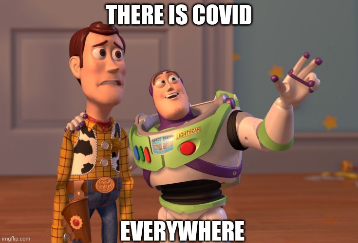X, X Everywhere | THERE IS COVID; EVERYWHERE | image tagged in memes,x x everywhere | made w/ Imgflip meme maker