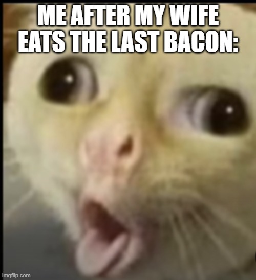 meme | ME AFTER MY WIFE EATS THE LAST BACON: | image tagged in expanding brain | made w/ Imgflip meme maker