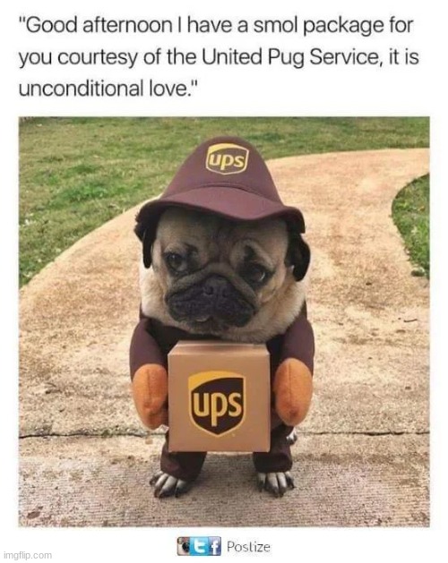 *happi* | made w/ Imgflip meme maker