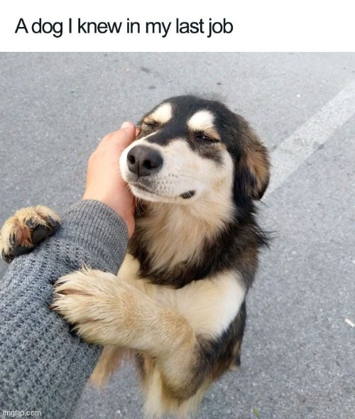 AWWWWWWWW | made w/ Imgflip meme maker