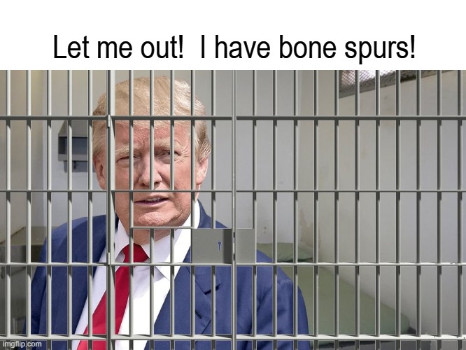 Prisoner Bonespurs Trump | Let me out!  I have bone spurs! | image tagged in trump,prison,jail,criminal,bone,spurs | made w/ Imgflip meme maker